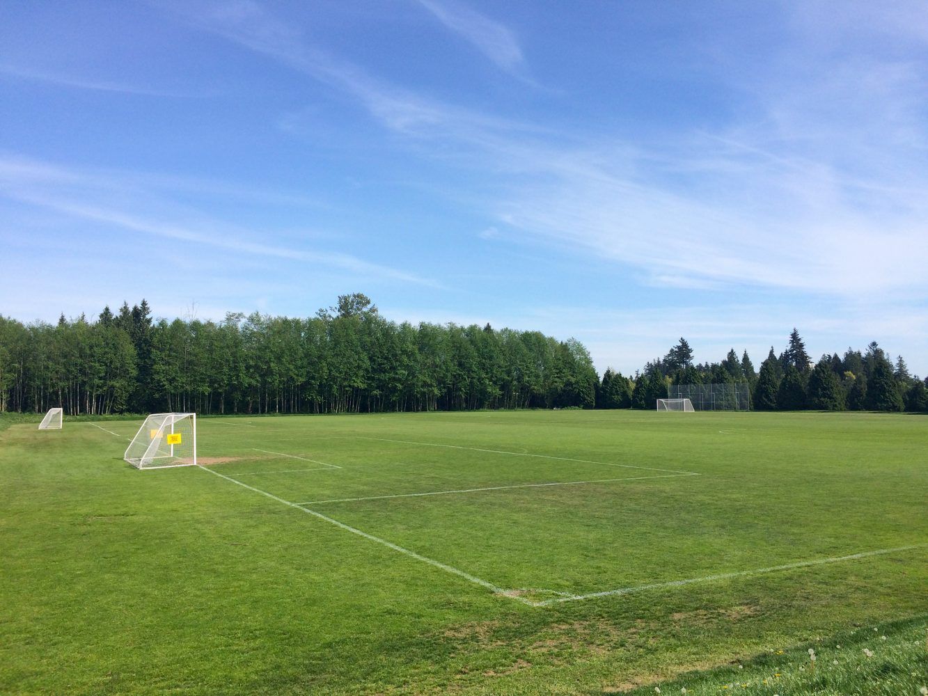 South Surrey Athletic Park Sport Surrey