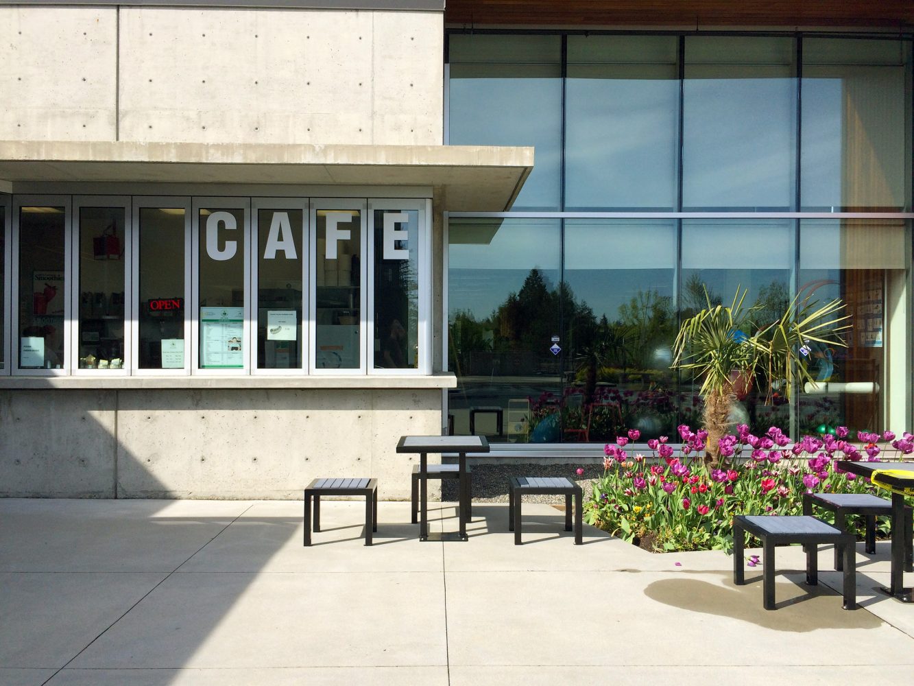 South Surrey Recreation Centre Sport Surrey